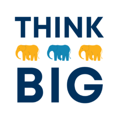 Three coloured elephants in between the words THINK BIG